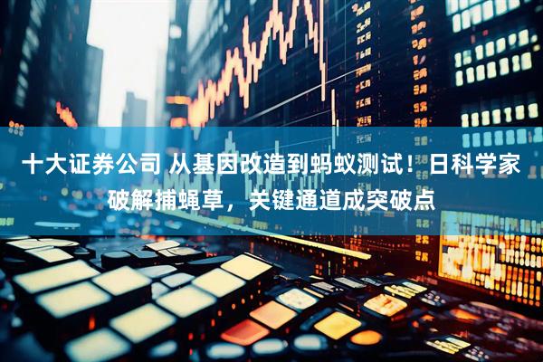 十大证券公司 从基因改造到蚂蚁测试！日科学家破解捕蝇草，关键通道成突破点